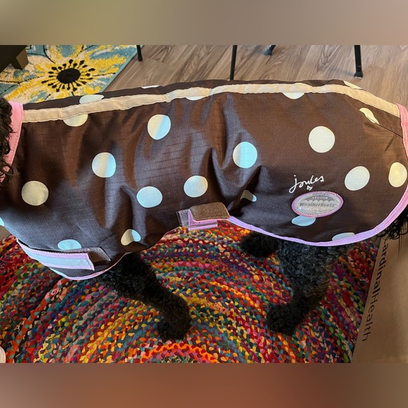 Large dog coat. Great condition, no rips or holes. - Picture 1 of 2
